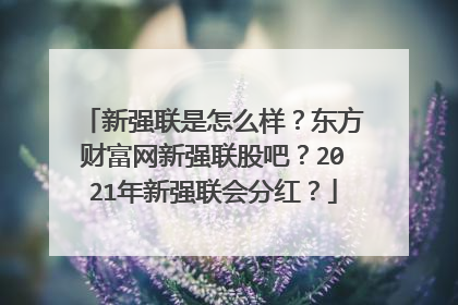 新强联是怎么样?东方财富网新强联股吧?2021年新强联会分红?