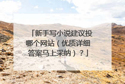 新手写小说建议投哪个网站（优质详细答案马上采纳）？