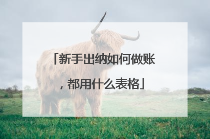 新手出纳如何做账,都用什么表格