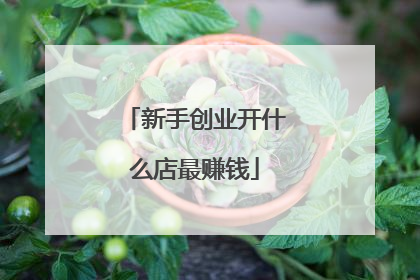 新手创业开什么店最赚钱