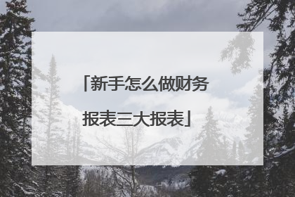 新手怎么做财务报表三大报表