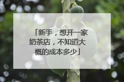 新手，想开一家奶茶店，不知道大概的成本多少