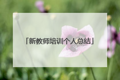 新教师培训个人总结
