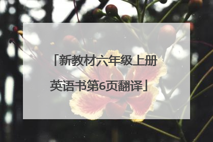 新教材六年级上册英语书第6页翻译