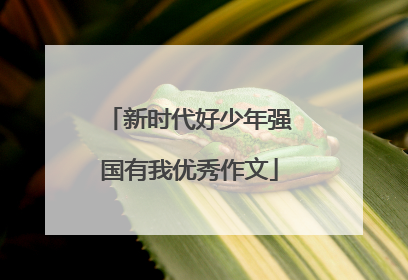 新时代好少年强国有我优秀作文