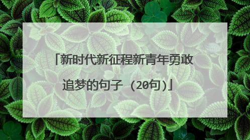 新时代新征程新青年勇敢追梦的句子 (20句)