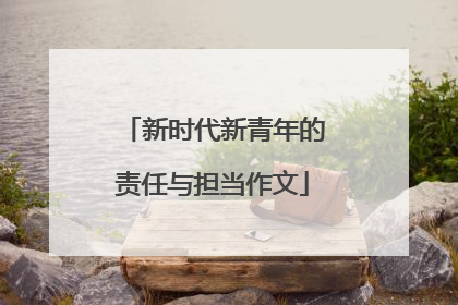 新时代新青年的责任与担当作文