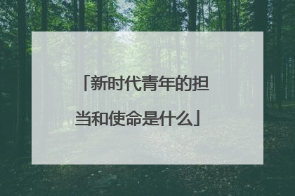 新时代青年的担当和使命是什么