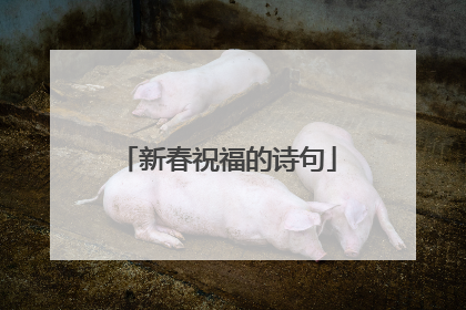 新春祝福的诗句