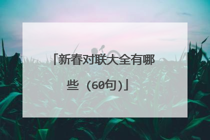 新春对联大全有哪些 (60句)