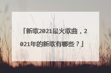 新歌2021最火歌曲,2021年的新歌有哪些?