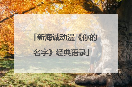 新海诚动漫《你的名字》经典语录