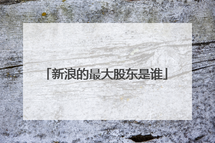 新浪的最大股东是谁