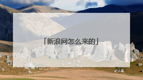 新浪网怎么来的