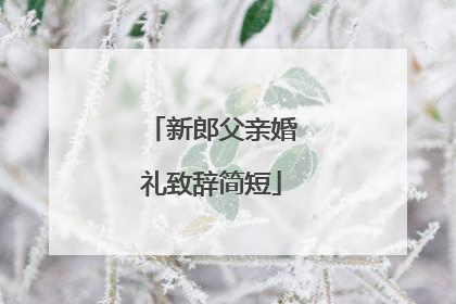 新郎父亲婚礼致辞简短