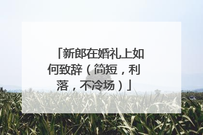 新郎在婚礼上如何致辞（简短，利落，不冷场）