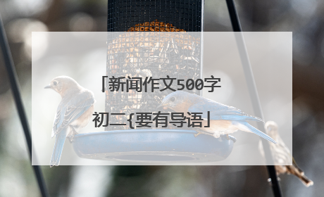 新闻作文500字初二{要有导语