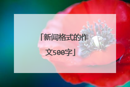 新闻格式的作文500字