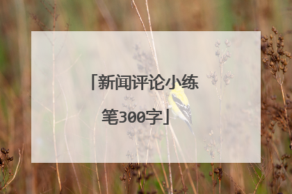 新闻评论小练笔300字