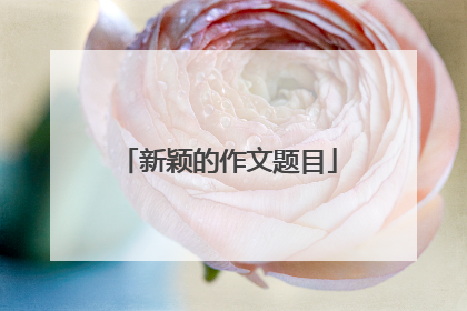 新颖的作文题目