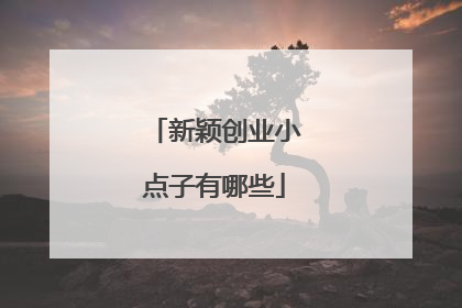 新颖创业小点子有哪些