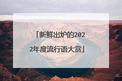 新鲜出炉的2022年度流行语大赏