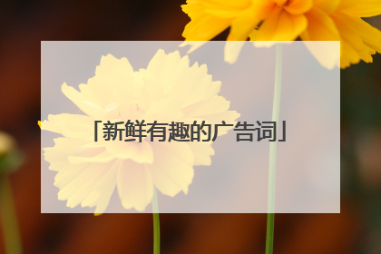 新鲜有趣的广告词