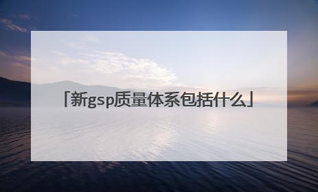 新gsp质量体系包括什么
