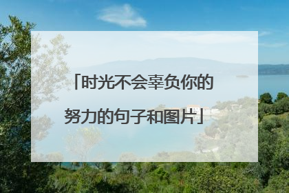 时光不会辜负你的努力的句子和图片