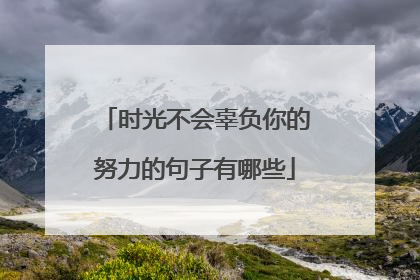 时光不会辜负你的努力的句子有哪些