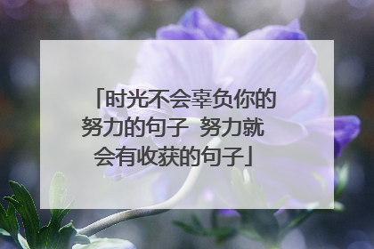 时光不会辜负你的努力的句子 努力就会有收获的句子
