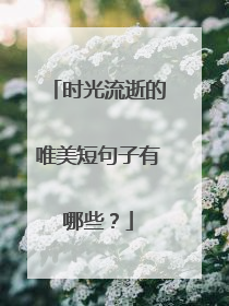 时光流逝的唯美短句子有哪些?