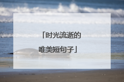 时光流逝的唯美短句子
