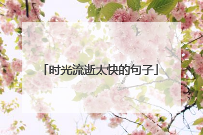 时光流逝太快的句子