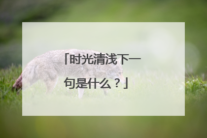 时光清浅下一句是什么?