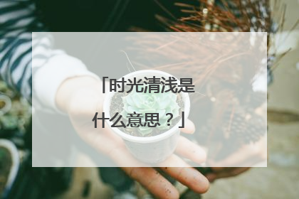 时光清浅是什么意思？