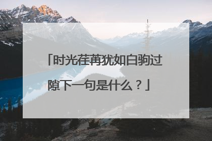 时光荏苒犹如白驹过隙下一句是什么？