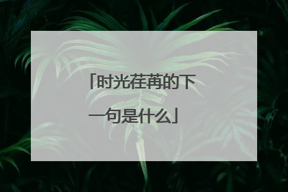 时光荏苒的下一句是什么