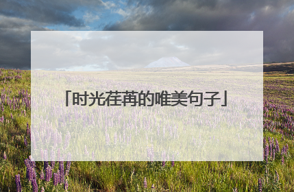 时光荏苒的唯美句子