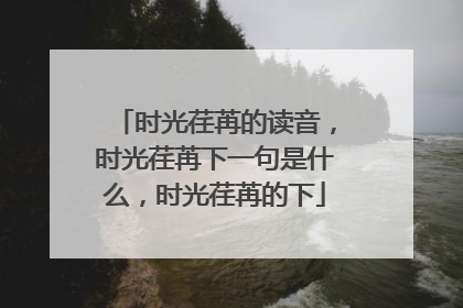 时光荏苒的读音,时光荏苒下一句是什么,时光荏苒的下