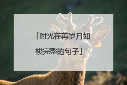 时光荏苒岁月如梭完整的句子