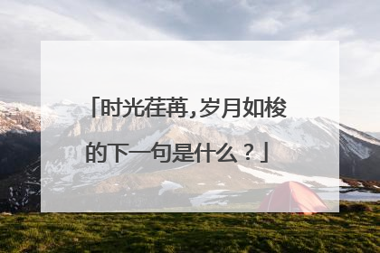 时光荏苒,岁月如梭的下一句是什么?