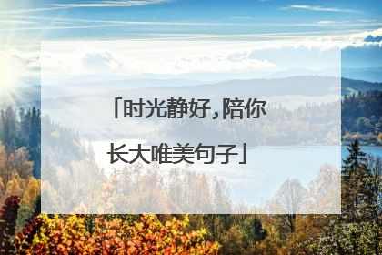 时光静好,陪你长大唯美句子