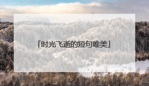 时光飞逝的短句唯美