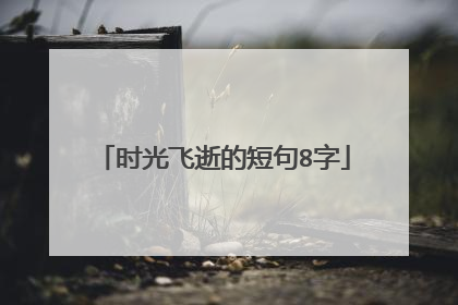 时光飞逝的短句8字