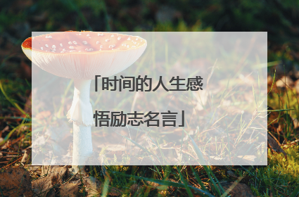 时间的人生感悟励志名言