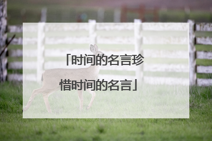 时间的名言珍惜时间的名言