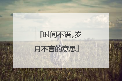 时间不语,岁月不言的意思