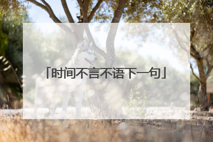 时间不言不语下一句