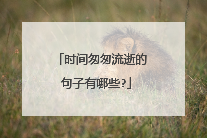 时间匆匆流逝的句子有哪些?